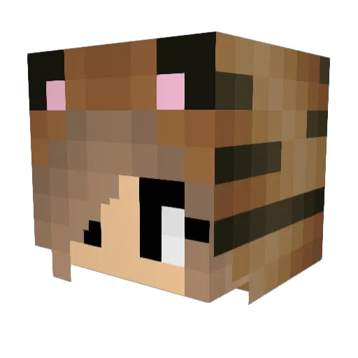 fifikelly64 Minecraft avatar head, 3D render