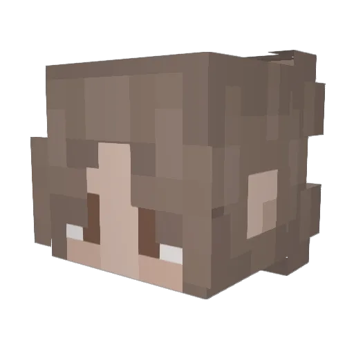 fifj Minecraft avatar head, 3D render