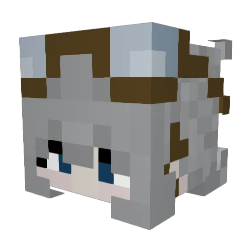 fifl_33 Minecraft avatar head, 3D render