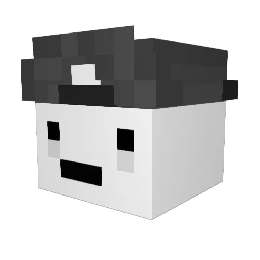 fighterfeike Minecraft avatar head, 3D render