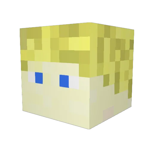 fightfighter101 Minecraft avatar head, 3D render