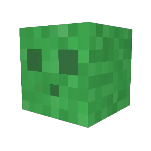 fightinfin Minecraft avatar head, 3D render