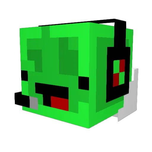 fightingman205 Minecraft avatar head, 3D render