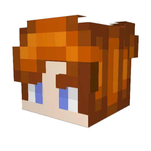 fightmaster1000 Minecraft avatar head, 3D render