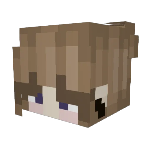 fightme025 Minecraft avatar head, 3D render