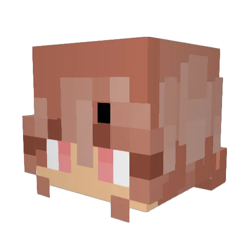 fihfihfih1256 Minecraft avatar head, 3D render