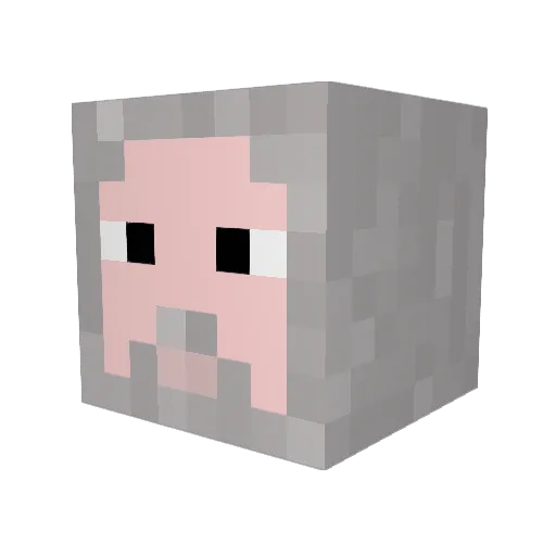fii92 Minecraft avatar head, 3D render