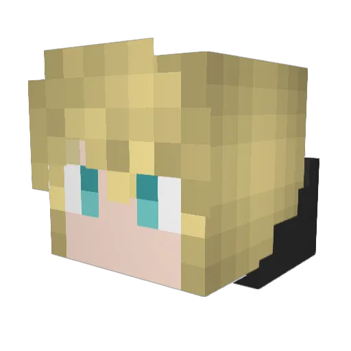 fiiilllaaa Minecraft avatar head, 3D render