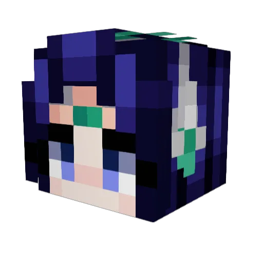 fiishycat Minecraft avatar head, 3D render