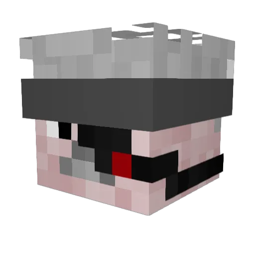 fij1water Minecraft avatar head, 3D render