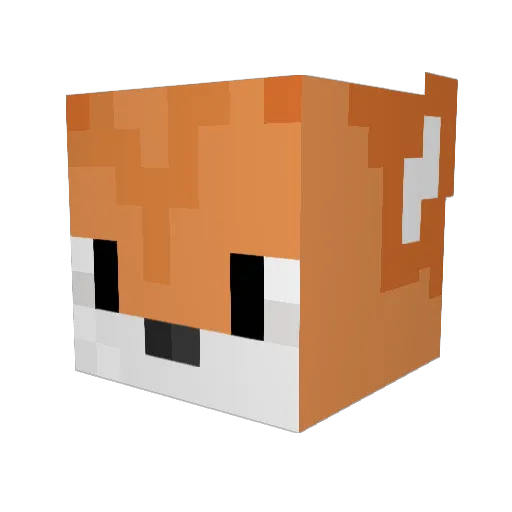 fijest Minecraft avatar head, 3D render