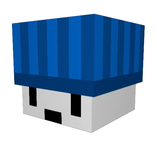 fijiongod Minecraft avatar head, 3D render