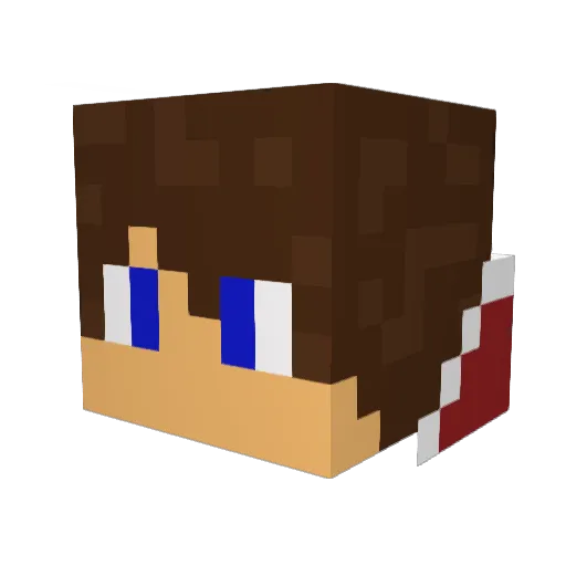 fikus1337 Minecraft avatar head, 3D render