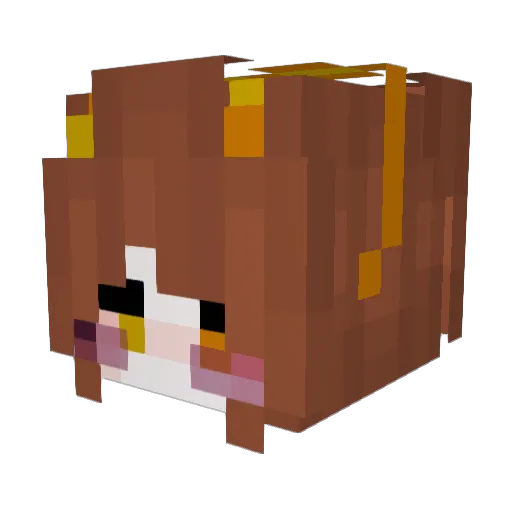 fil1aVer Minecraft avatar head, 3D render