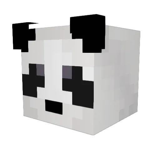 fildid Minecraft avatar head, 3D render