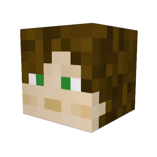 fileUSERNAME Minecraft avatar head, 3D render