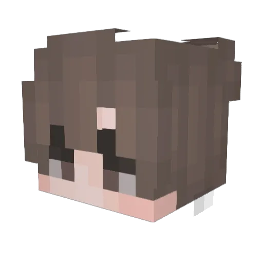 filecosta Minecraft avatar head, 3D render