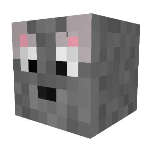 fili1048 Minecraft avatar head, 3D render