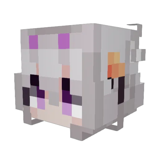 filianIsLost Minecraft avatar head, 3D render