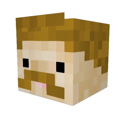 filiola11 Minecraft avatar head, 3D render