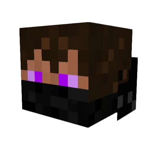 filipandersson19 Minecraft avatar head, 3D render