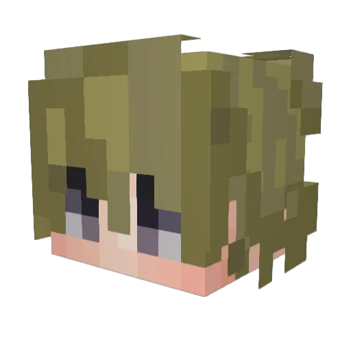 filipwood Minecraft avatar head, 3D render