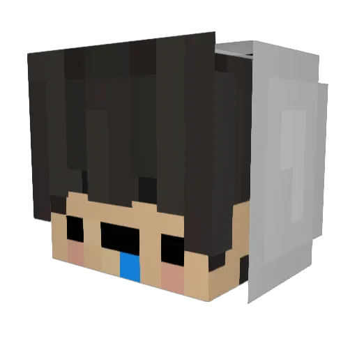 fill2cool Minecraft avatar head, 3D render