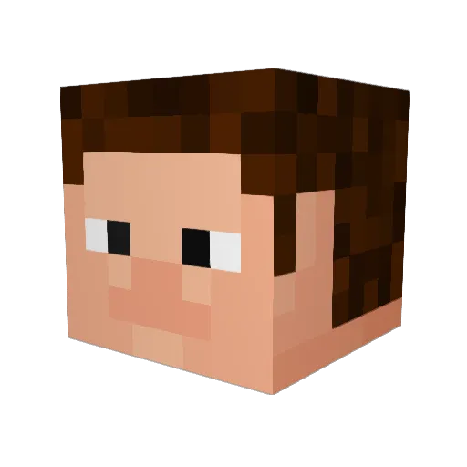 fille4123 Minecraft avatar head, 3D render