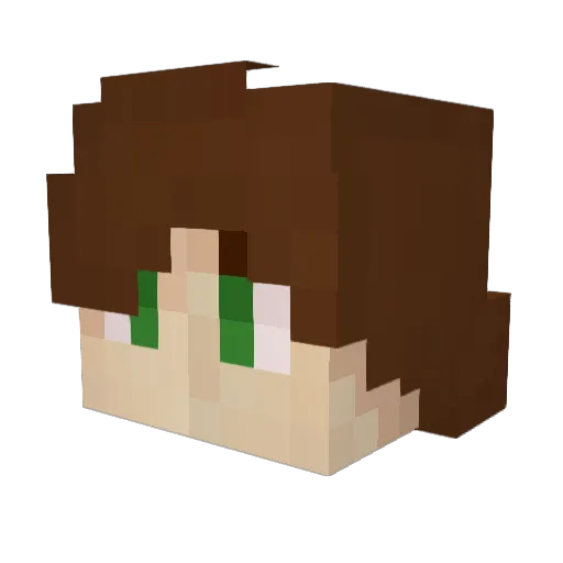 filleran54 Minecraft avatar head, 3D render
