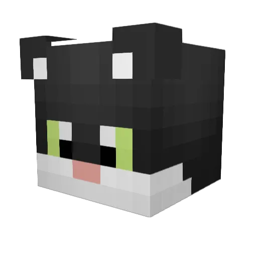 filop4 Minecraft avatar head, 3D render