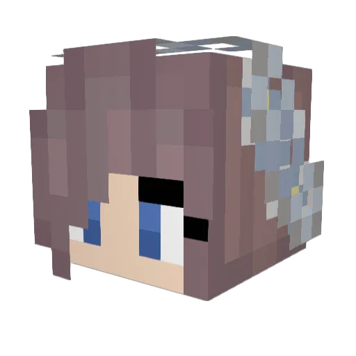 filur3n Minecraft avatar head, 3D render