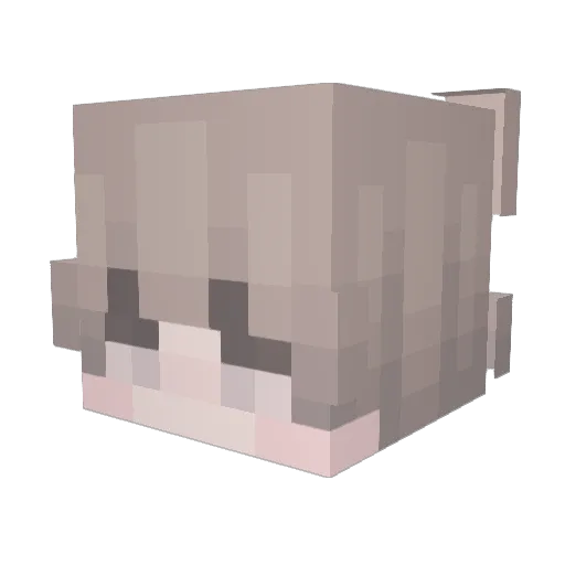 filus321 Minecraft avatar head, 3D render