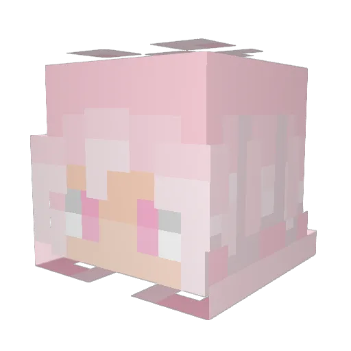 fim_ax Minecraft avatar head, 3D render