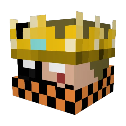 fin010 Minecraft avatar head, 3D render
