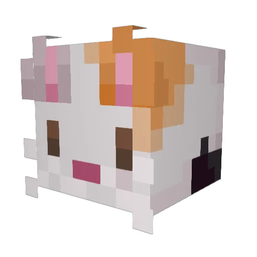 fin1ee Minecraft avatar head, 3D render