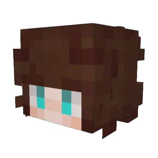 finally_52 Minecraft avatar head, 3D render