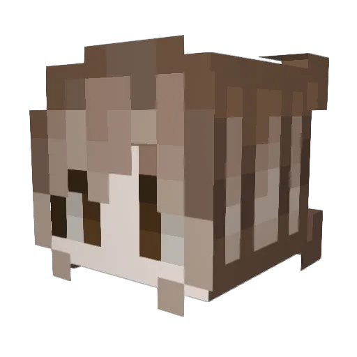 financiallyinept Minecraft avatar head, 3D render