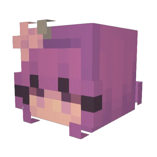 finbeu Minecraft avatar head, 3D render