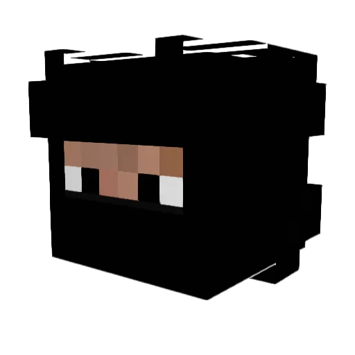 fincous Minecraft avatar head, 3D render