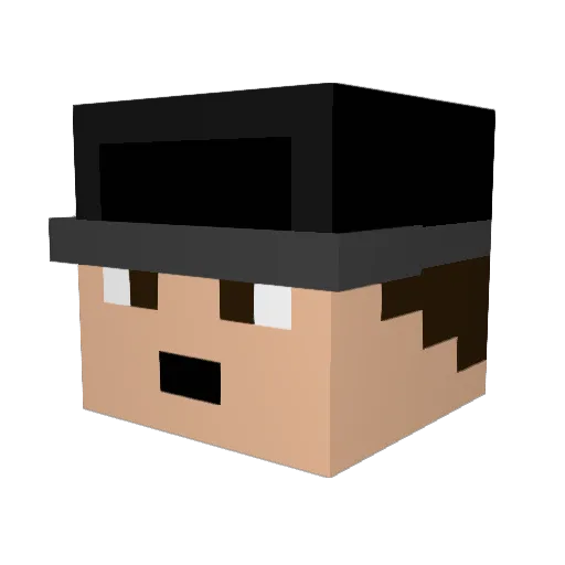 finders1 Minecraft avatar head, 3D render