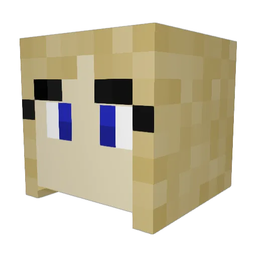 findingwhoiam Minecraft avatar head, 3D render