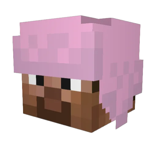 findjoey Minecraft avatar head, 3D render