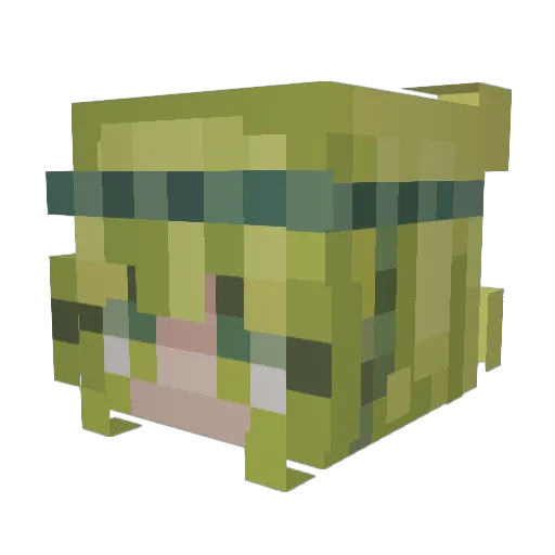 finePe Minecraft avatar head, 3D render