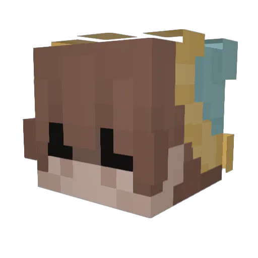 fineducky Minecraft avatar head, 3D render