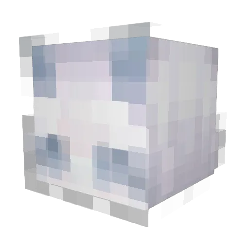finest_gamer Minecraft avatar head, 3D render