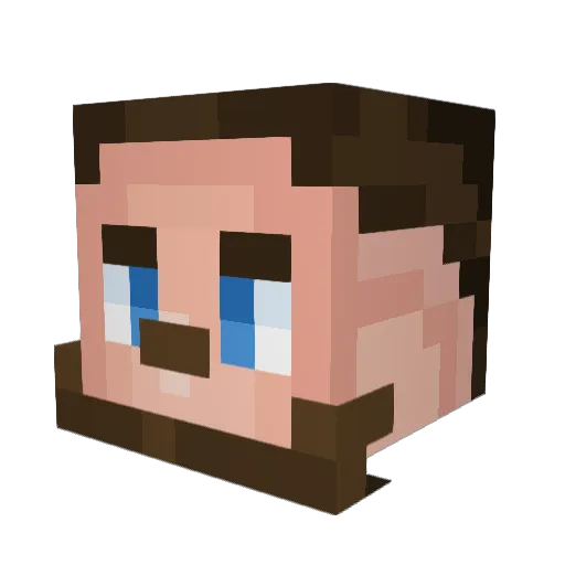 finfin123123 Minecraft avatar head, 3D render
