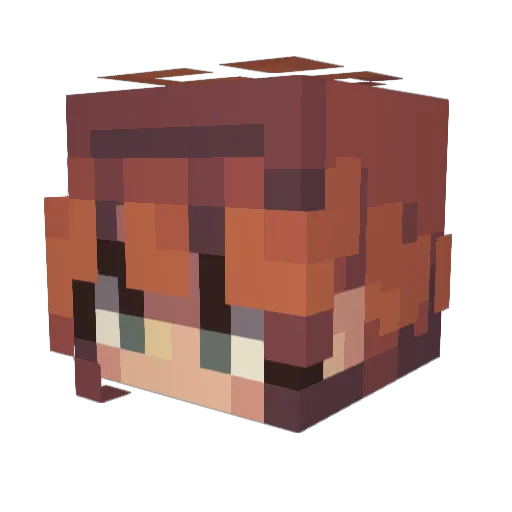 finfin1596 Minecraft avatar head, 3D render