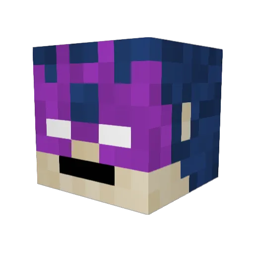 finfin616 Minecraft avatar head, 3D render