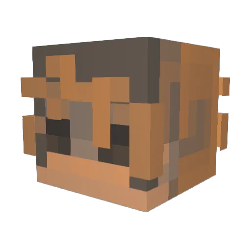 finfizz Minecraft avatar head, 3D render