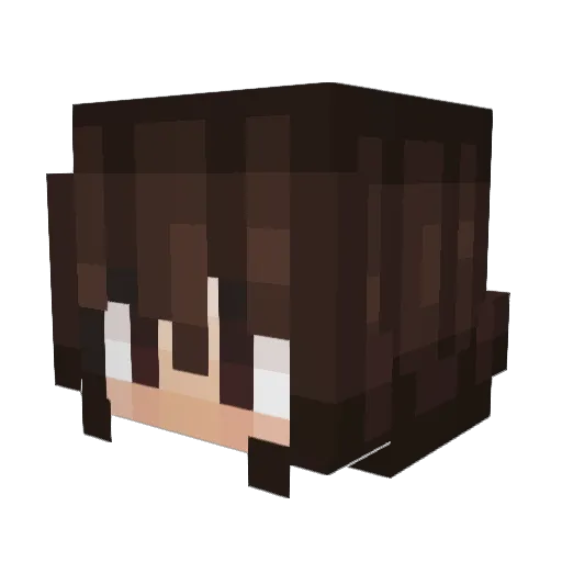 fini200694 Minecraft avatar head, 3D render